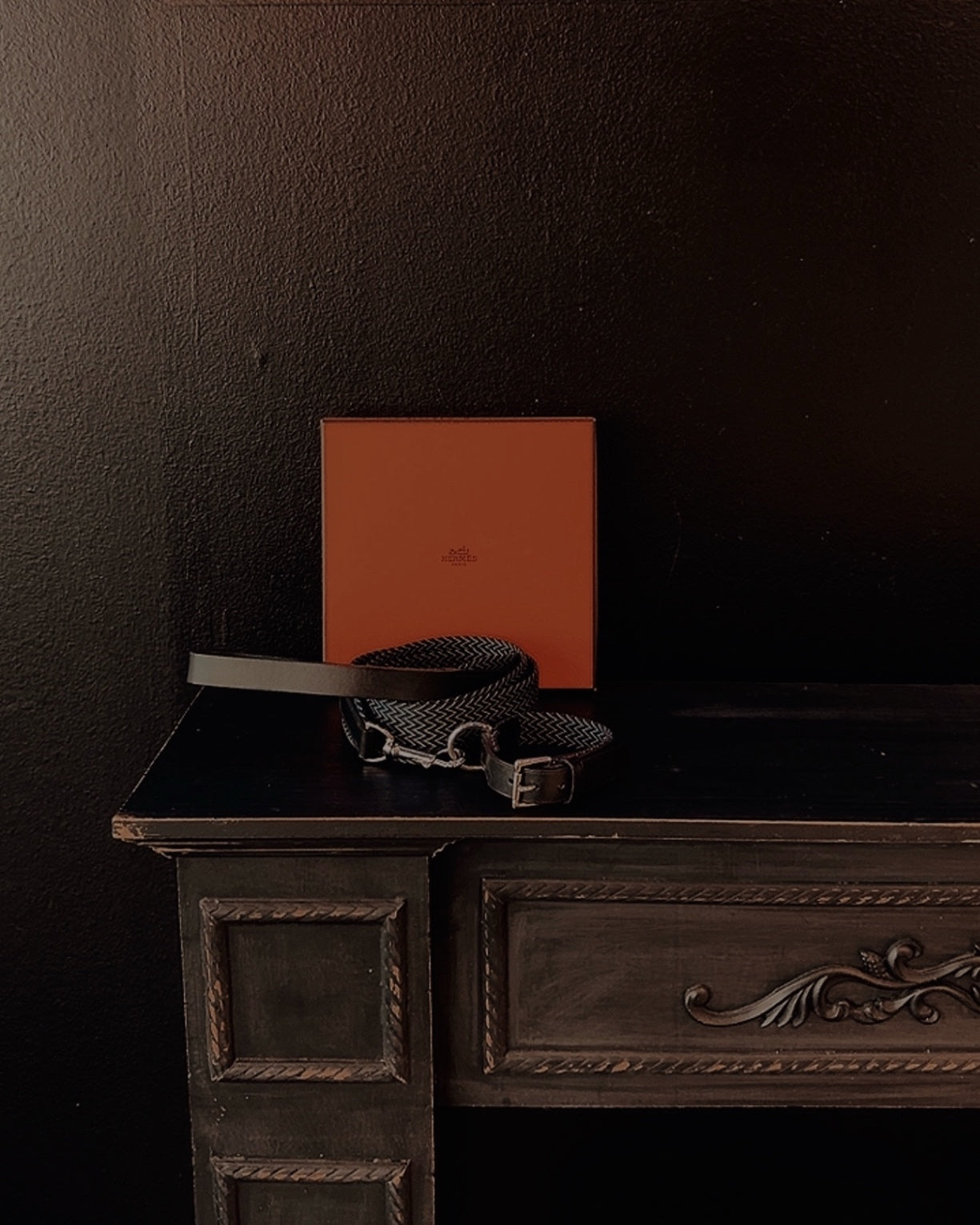 Hermès Hundeleine & Halsband Set