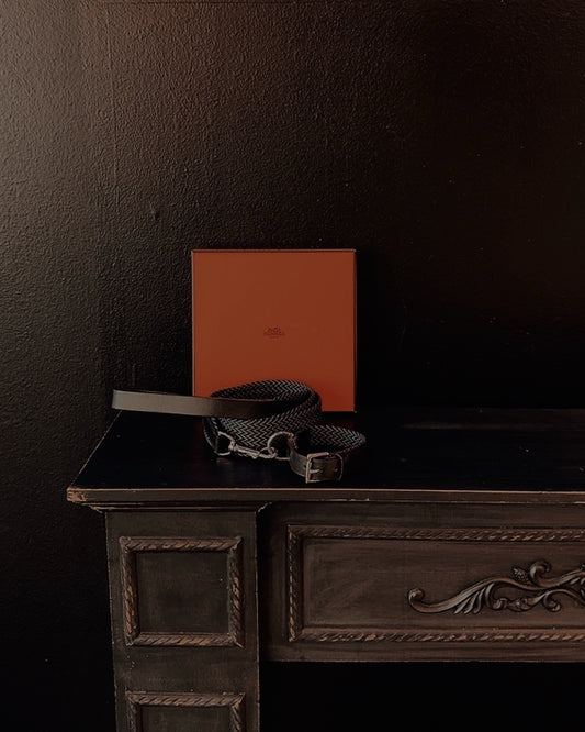 Hermès Hundeleine & Halsband Set